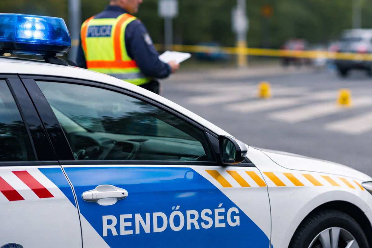 halalos-gazolas-a-zebran:-vadat-emeltek-a-26-eves-sofor-ellen-–-koros-hircentrum
