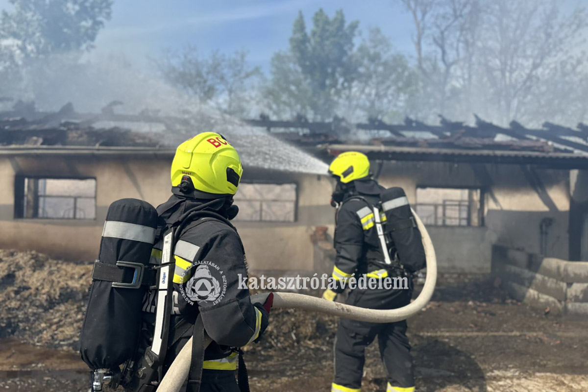 tuz-pusztitott-egy-allattarto-telepen-bekescsaba-kulteruleten-–-koros-hircentrum