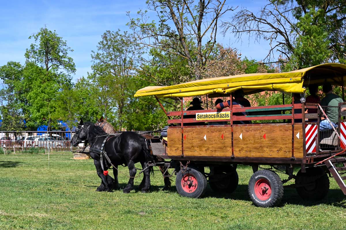 allatsimogatoval-es-lovaskocsizassal-nyitott-a-gabonamuzeum-–-koros-hircentrum