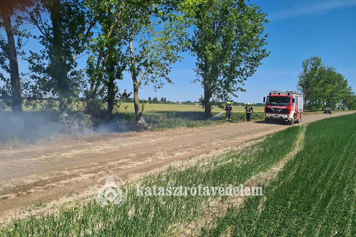 nyarfaszosz-kapott-langra-magyarbanhegyes-kulteruleten-–-koros-hircentrum