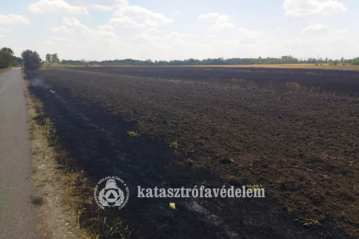 szaraz-fu-es-aljnovenyzet-egett-belmegyeren-–-koros-hircentrum
