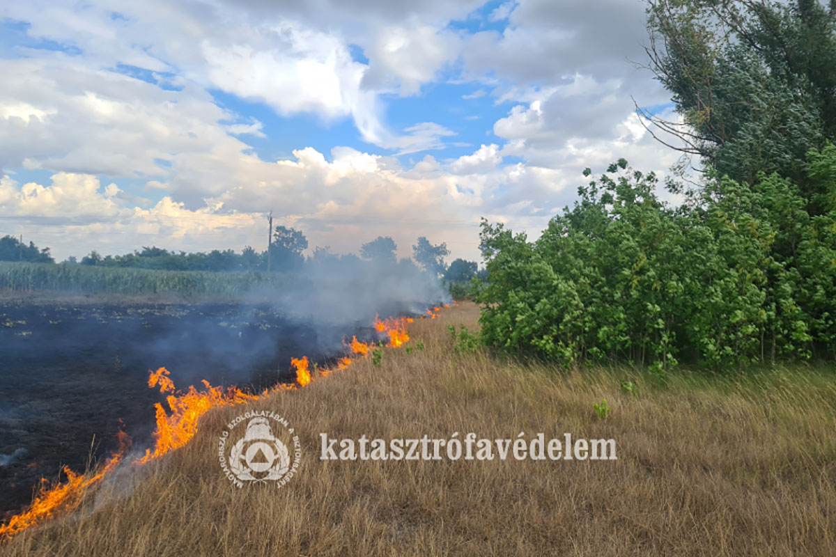 harom-hektaron-egett-a-szaraz-fu-gyula-kulteruleten-–-koros-hircentrum