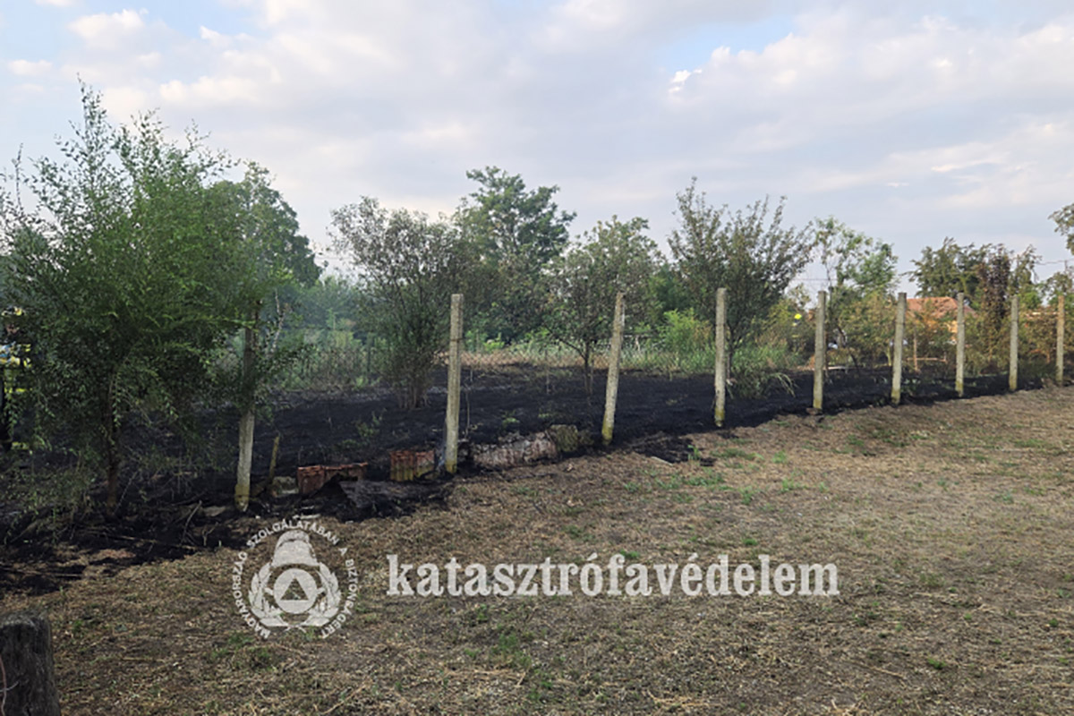 ketezer-negyzetmeteren-egett-a-novenyzet-pusztaottlakan-–-koros-hircentrum