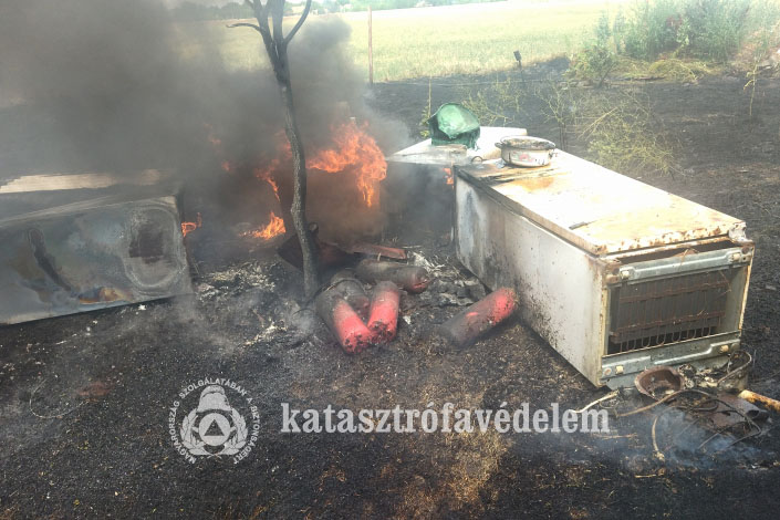 szaraz-fu-es-avar-egett-szarvas-kulteruleten-–-koros-hircentrum