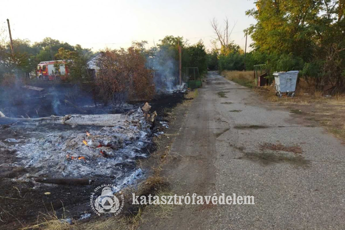 szaz-sertest-mentettek-ki-a-tuzoltok-egy-oroshazi-sertesteleprol-–-koros-hircentrum