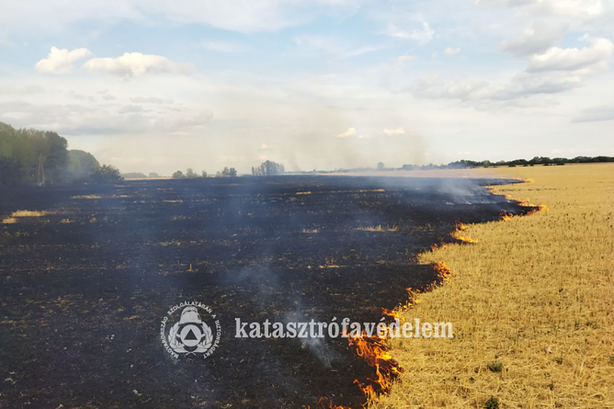 ket-szabadteri-tuzhoz-is-riasztottak-a-tuzoltokat-bekes-megyeben-–-koros-hircentrum