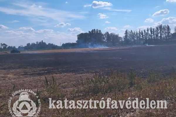 tarlotuz-veszelyeztette-a-tanyat-medgyesegyhazanal-–-koros-hircentrum
